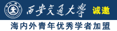 骚逼h视频诚邀海内外青年优秀学者加盟西安交通大学